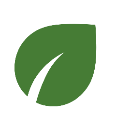 Step 1: In-Depth Health Review